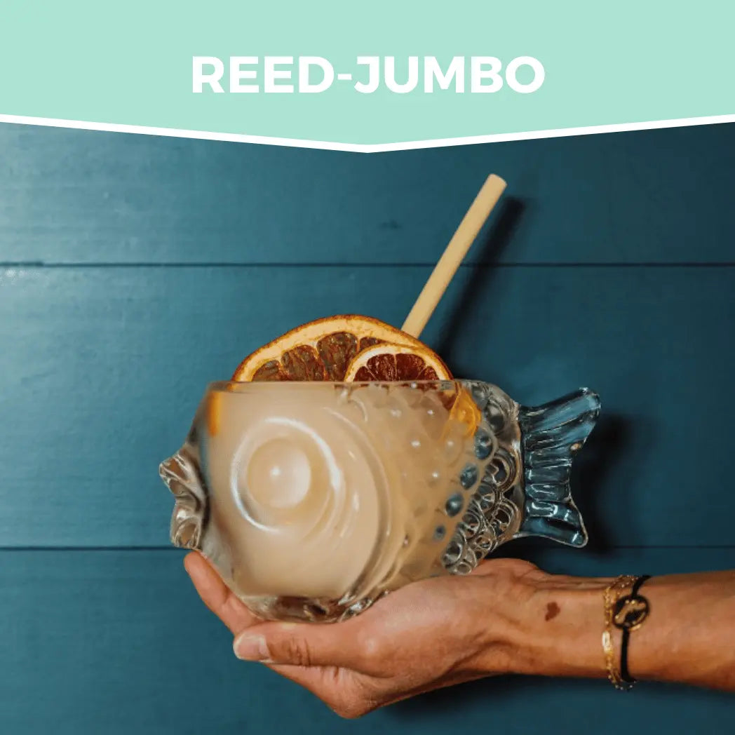 Holy City Straw Jumbo Reed Stem Drinking Straw Collection