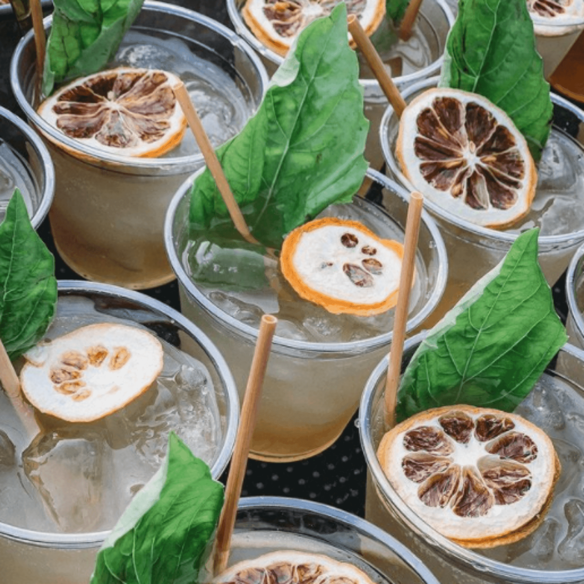 collection of cocktails with dehydrated fruit