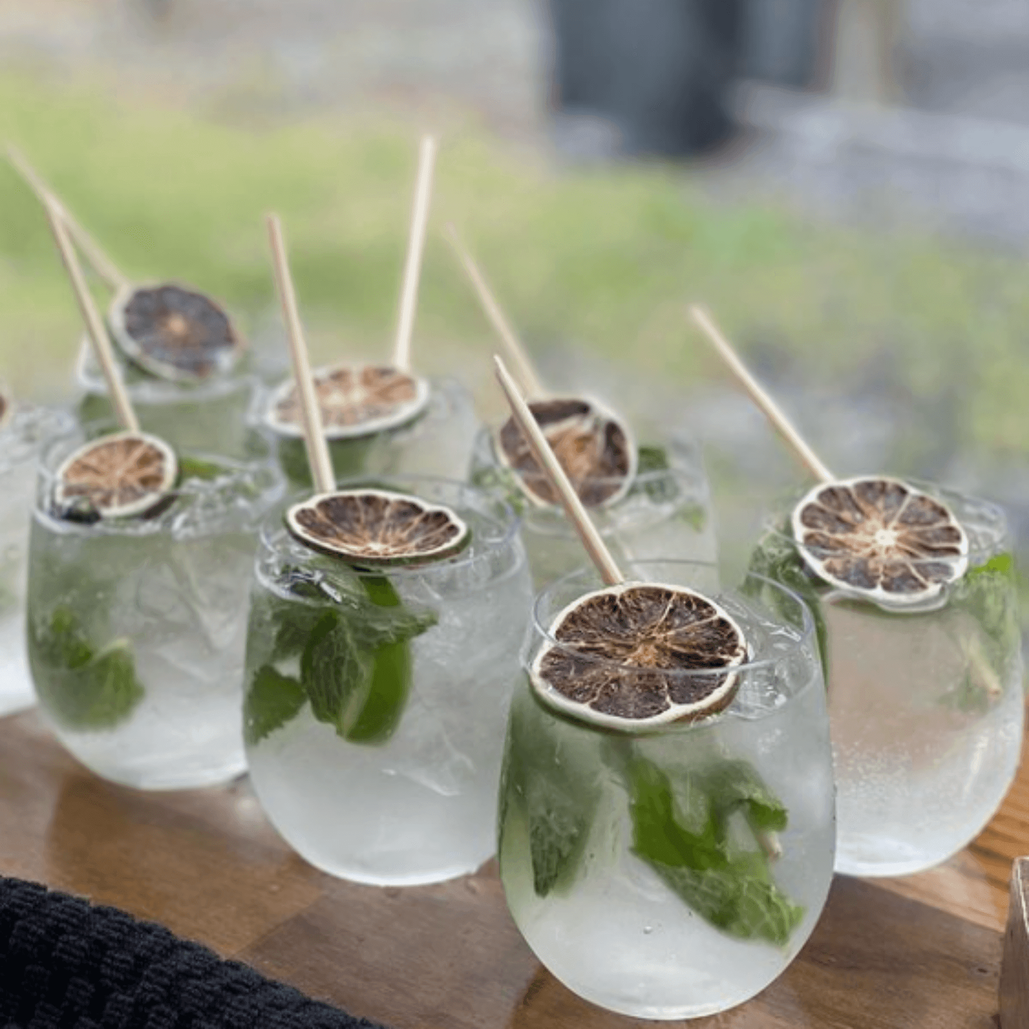 mojitos with dried oranges and wheat stem drinking straws