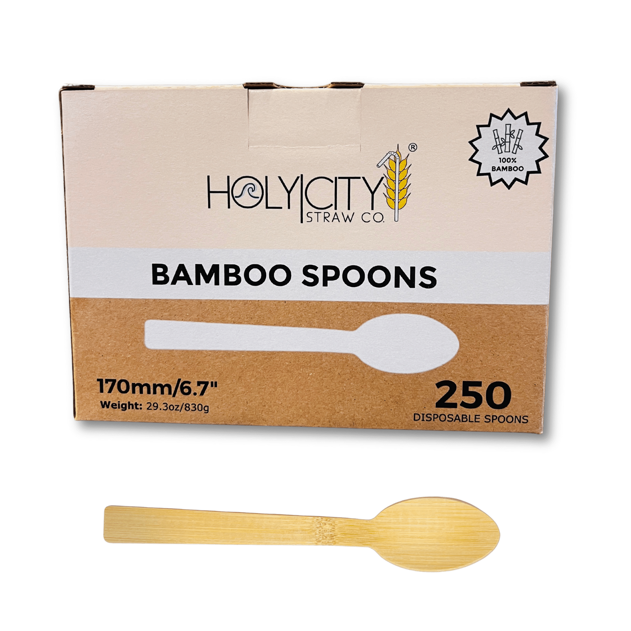 Box of Holy City Straw Company Bamboo Spoons 250 disposable spoons