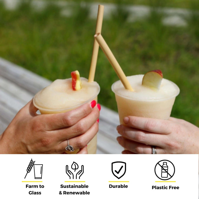 Two hands clinking frozen cocktails in plastic cups, each drink garnished with a fruit slice and served with a bamboo straw. Icons along the bottom read ‘Farm to Glass,’ ‘Sustainable & Renewable,’ ‘Durable,’ and ‘Plastic Free.