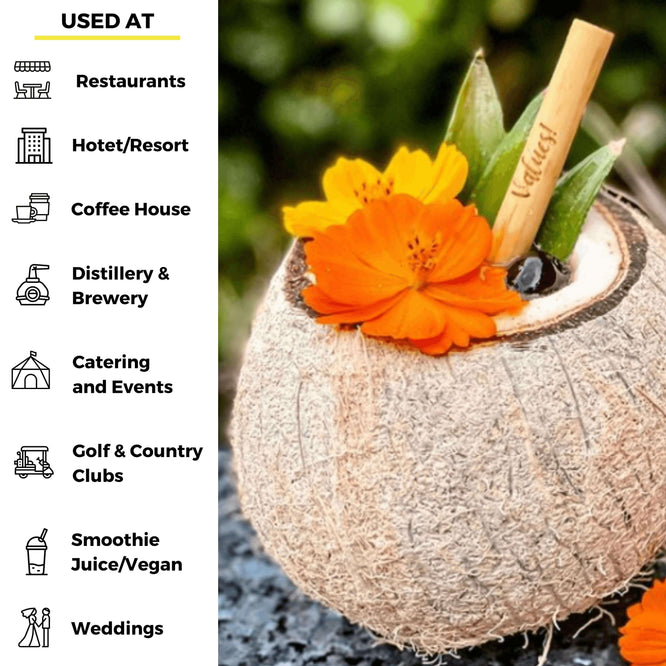 A coconut drink garnished with bright orange flowers and pineapple leaves, with a bamboo straw inserted into the top. The left side of the image shows icons and text listing usage locations such as restaurants, resorts, coffee houses, breweries, catering events, golf clubs, smoothie bars, and weddings.