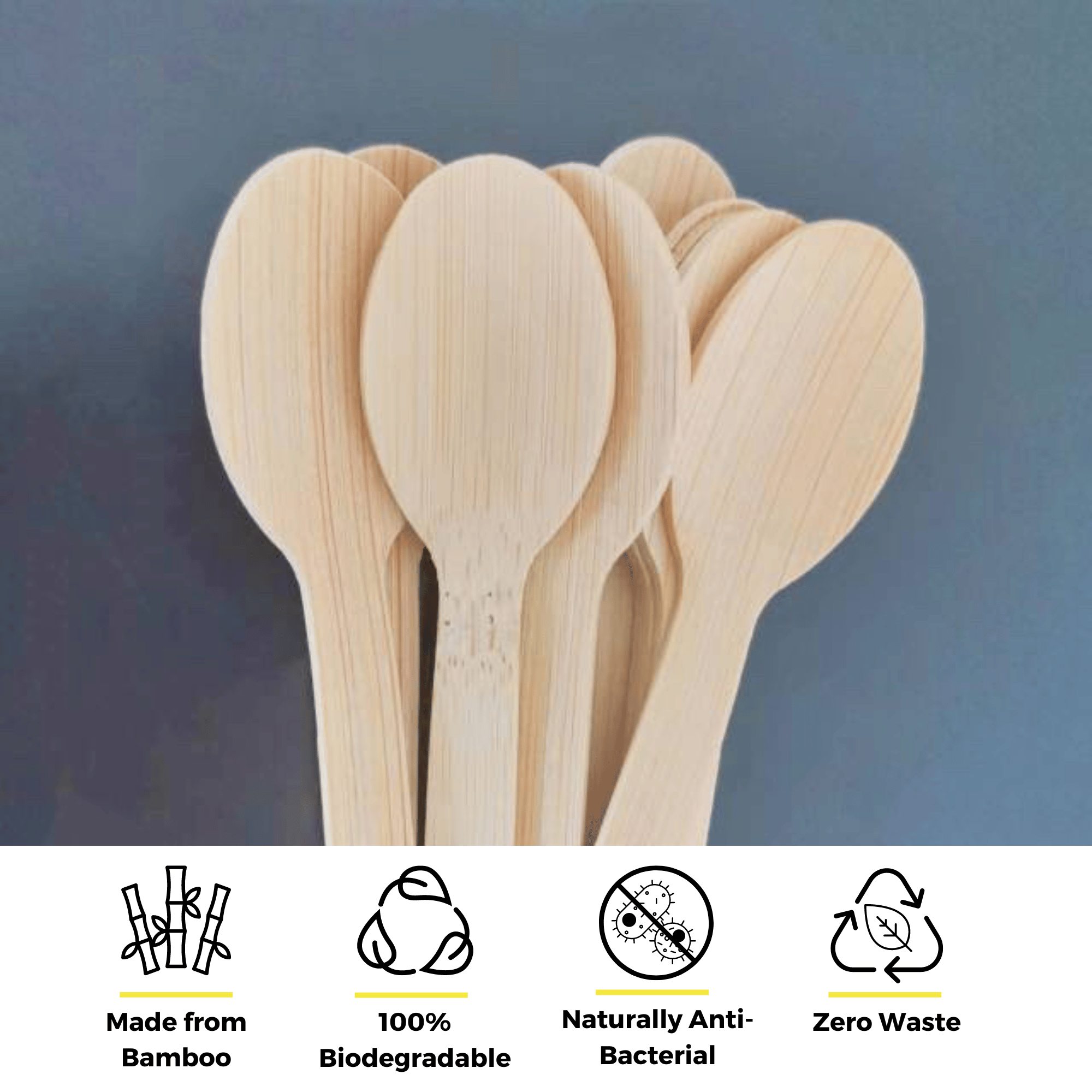 A bundle of bamboo spoons by Holy City Straw Co. grouped together on a dark background, showcasing the product's smooth, natural texture. Accompanying eco-friendly feature icons below highlight that the spoons are Made from Bamboo, 100% Biodegradable, Naturally Anti-bacterial, and contribute to Zero Waste