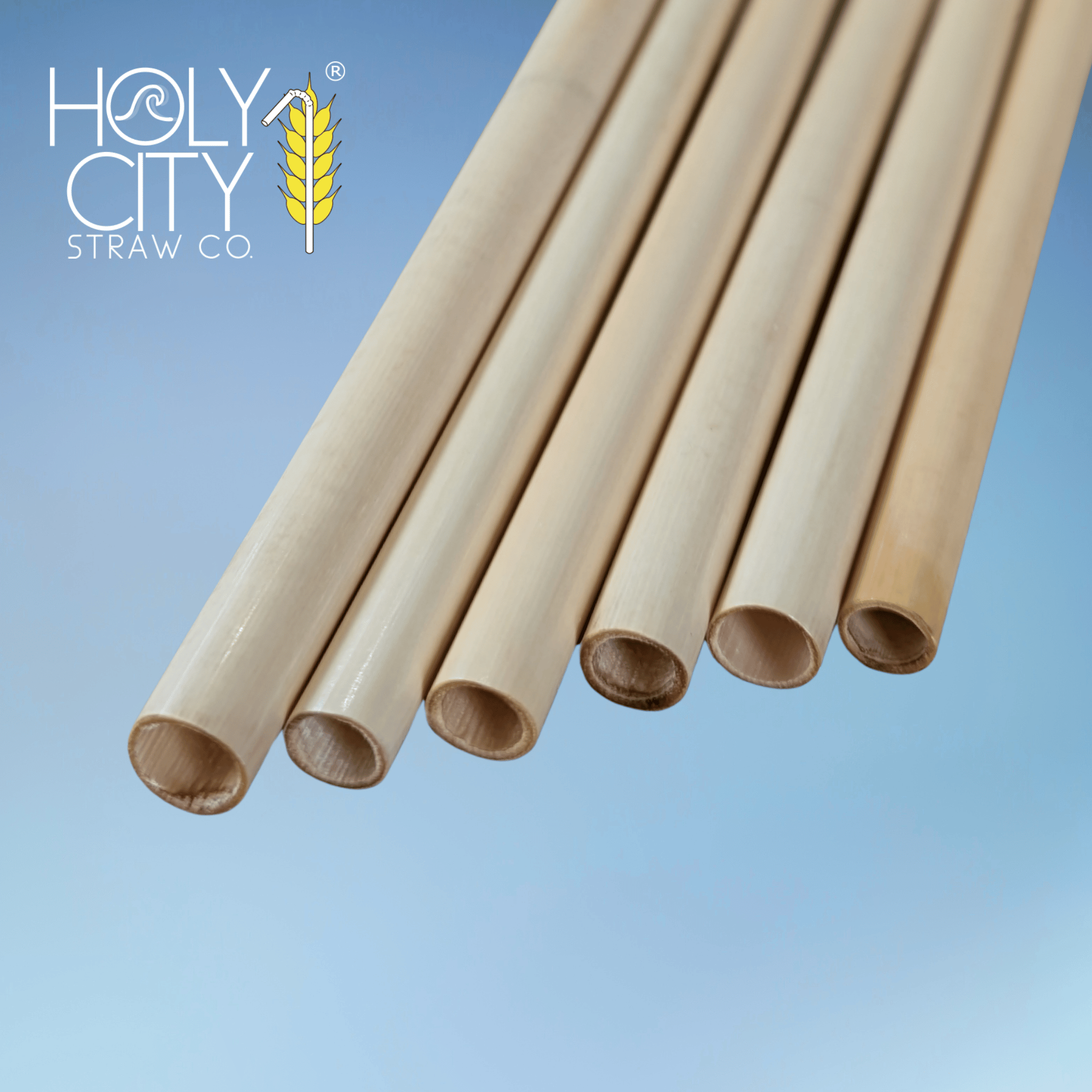 Skinny reed stem straws from Holy City Straw Co. arranged in a fan pattern, emphasizing their biodegradable finish and eco-friendly bamboo aesthetic.