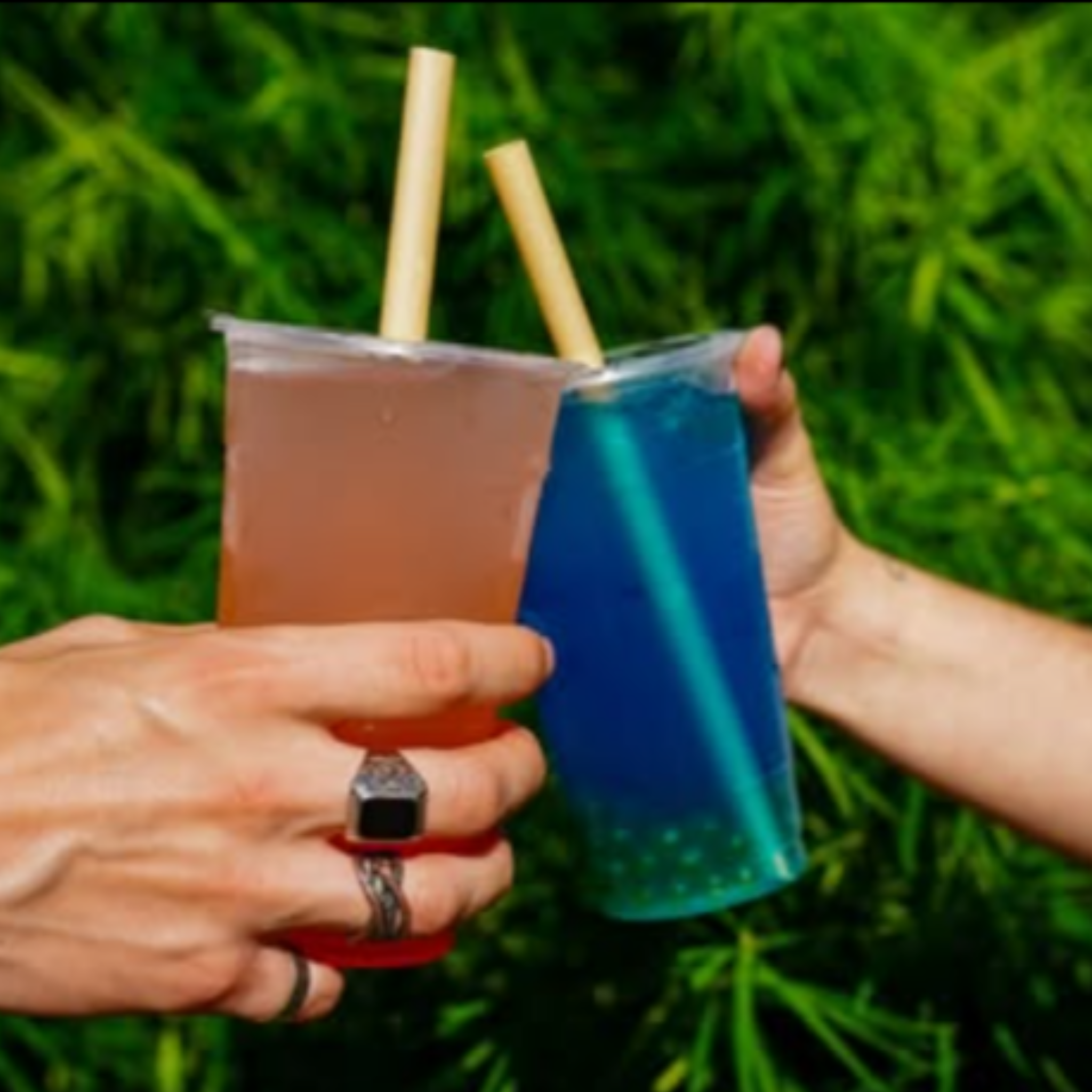 Two hands clinking colorful bubble tea cups with eco-friendly bamboo fiber boba straws outdoors, symbolizing sustainability and celebration with nature-safe materials.