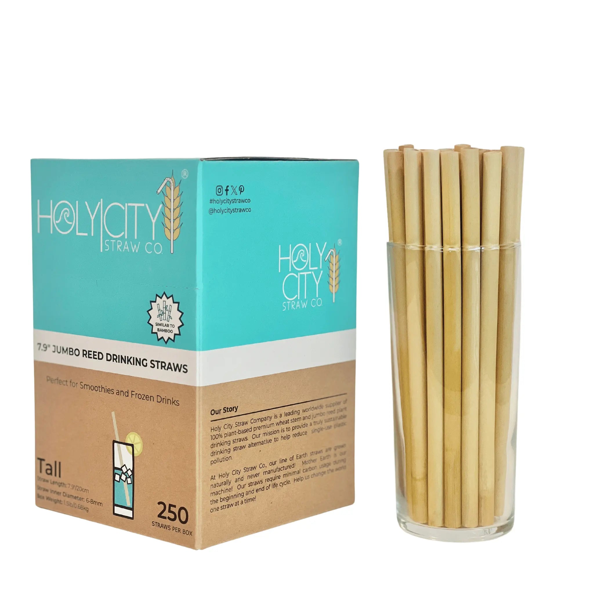 Shop Reed Straws | Sustainable & Certified Compostable – Holy City ...