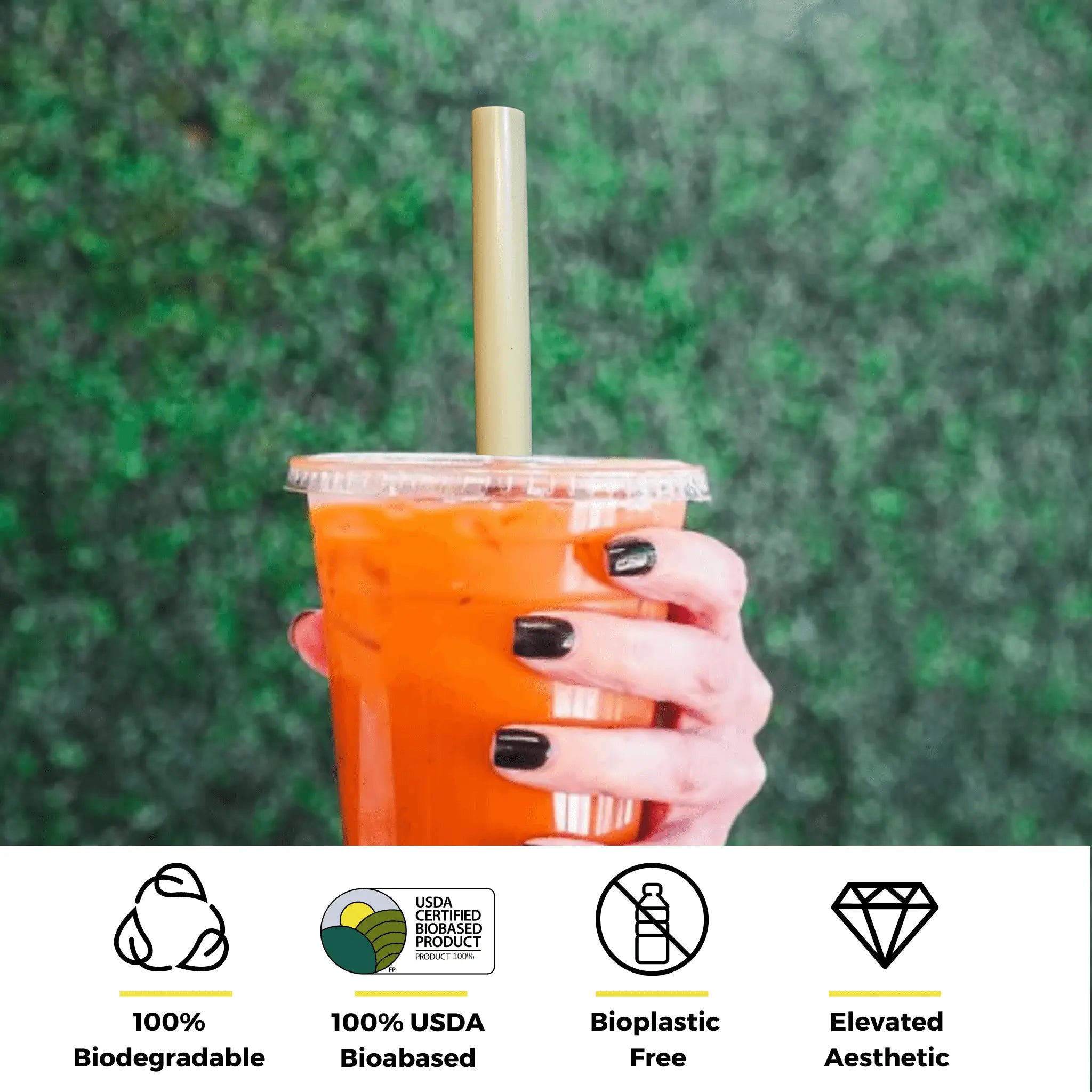 Shop Reed Straws | Sustainable & Certified Compostable – Holy City ...