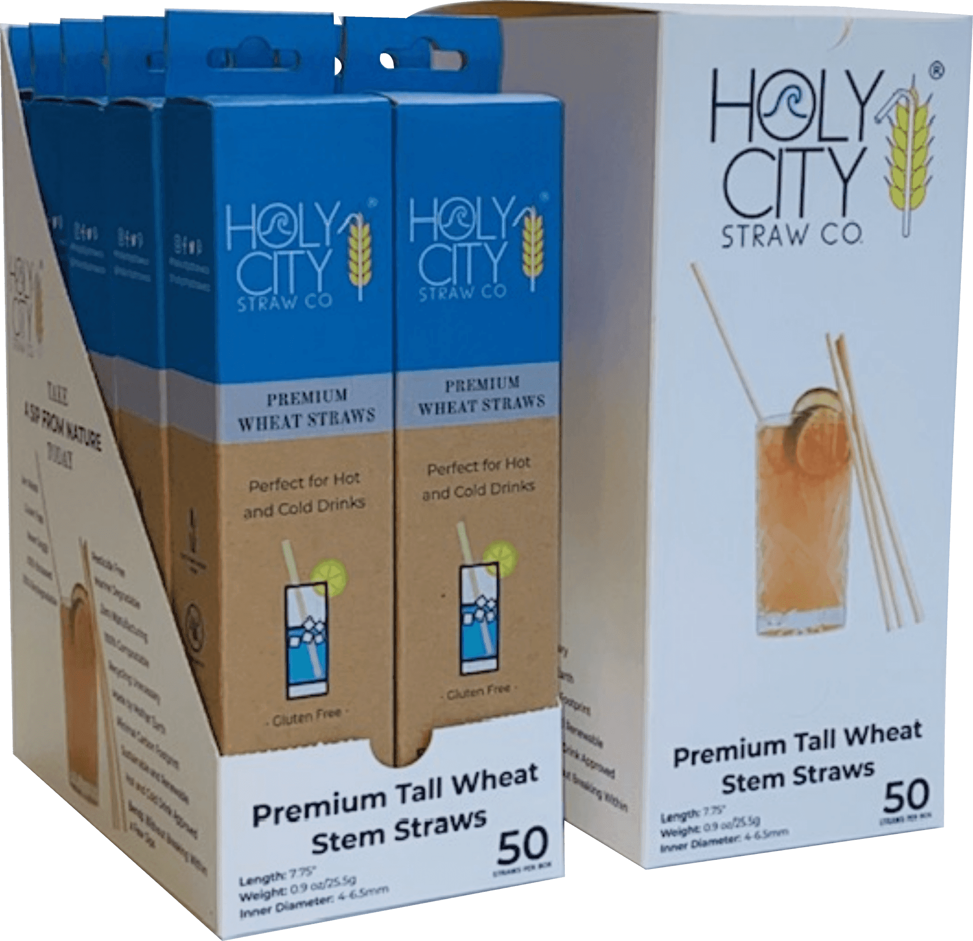 Holy City Straw Company Wheat Inner Pack of 10 50 ct Tall Wheat Straws - Angled Right