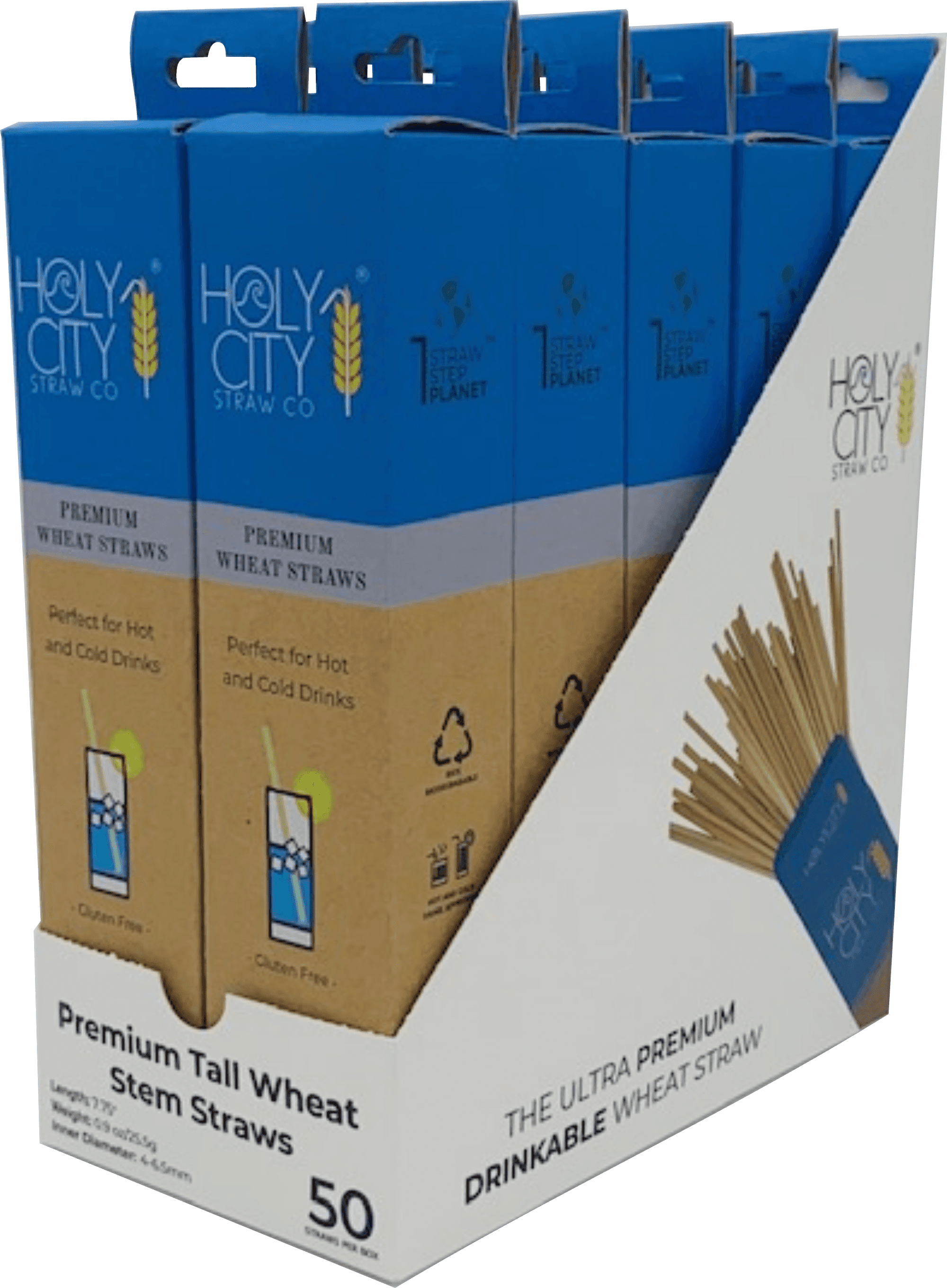 Holy City Straw Company Wheat Inner Pack of 10 50 ct Tall Wheat Straws - Angled Left