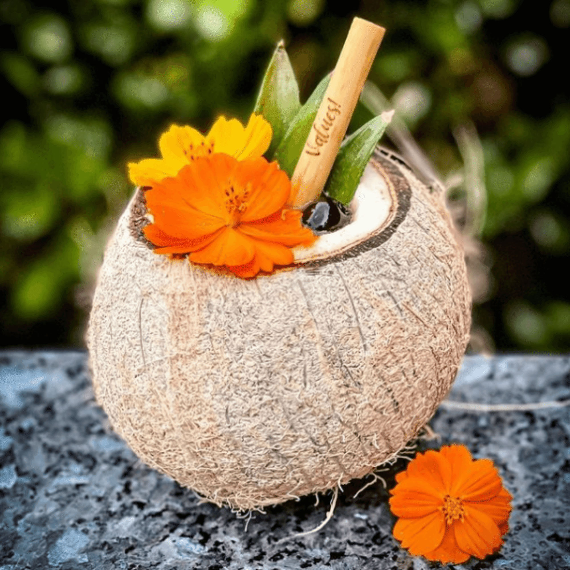faiza shrugged coconut inspired cocktail with custom holy city branded reed straw