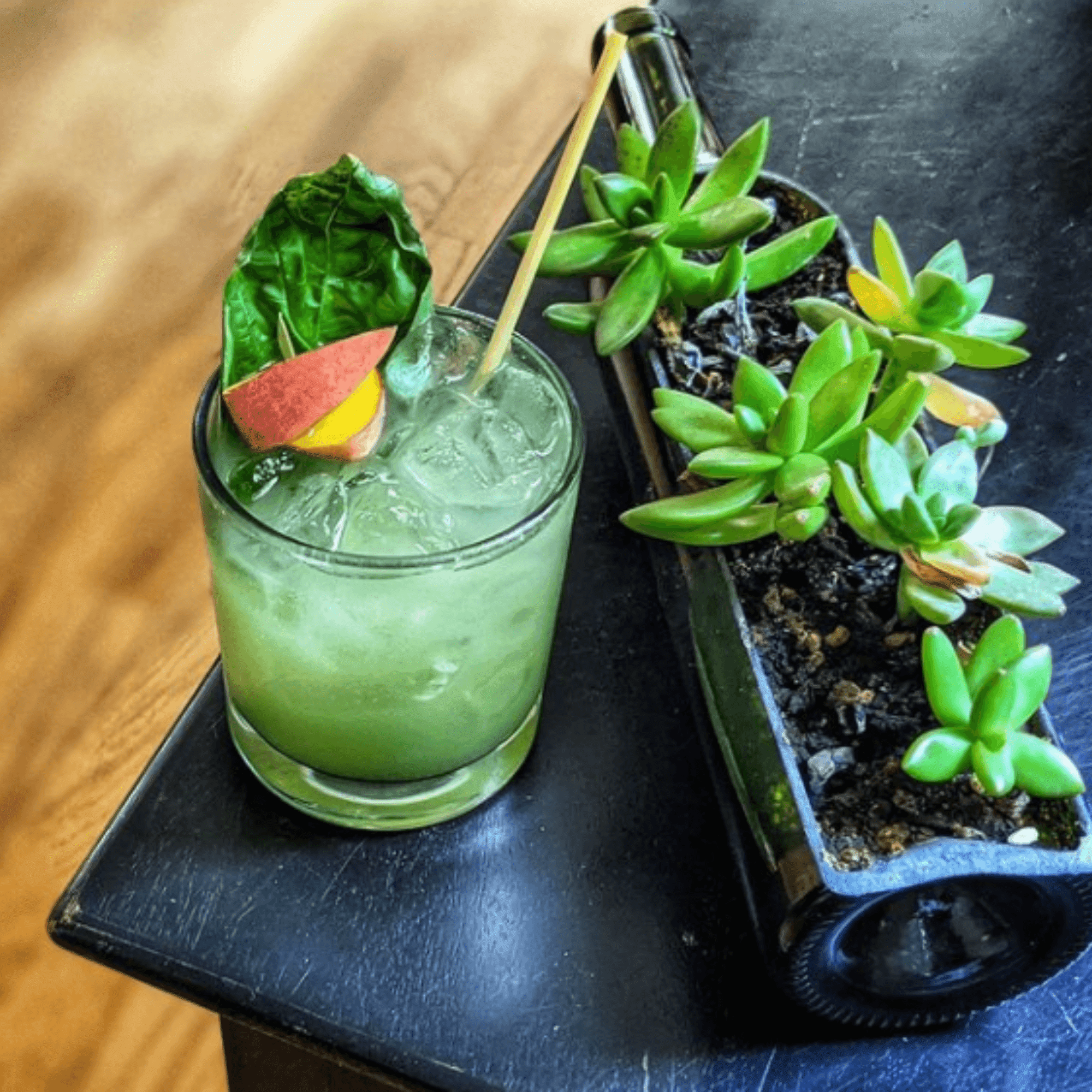 Mint infused cocktail next to succulent
